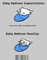 expectations vs reality