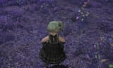 image_2025-06-13_203344607