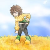 sonic tale Chara