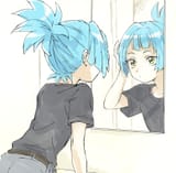 MirrorCheck
