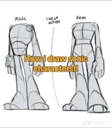 bodies