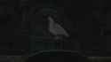 Bird_thumb.jpg