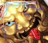 1729500251511534