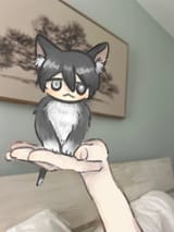 The Sunny Cat @10V3M3D0__