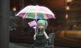 image_2025-06-13_224252767