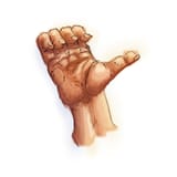 hand