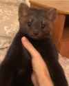 1728670380068271_thumb.jpg
