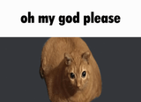 oh_my_god_please
