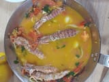 shrimpdelicia