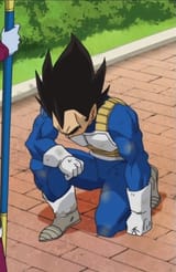 vegeta kneel