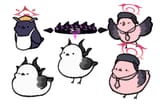 birb