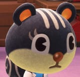 Blaire Stare