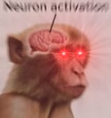 1691517051689032