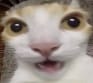 12983710328710