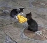 1727850200787992