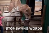 stop saying words camel