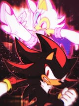 Shadow and Rouge action