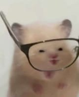 1728820750505301