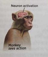 1729465106359695