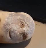 1749356065540812
