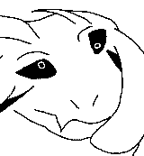 452