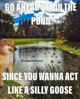1653349296873