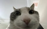 1740545217983094