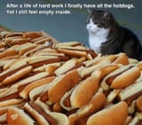 hotdogs