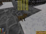 ScrnShot_01112024_001741
