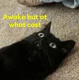 1695470311877001
