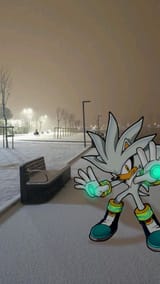 Silver The HedgehogWINTER