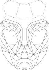 phi face template