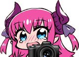 Surveillance Camera Liz
