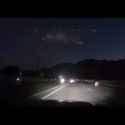 the lion on the road_thumb.jpg