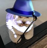 jp dog