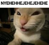 1738433150560