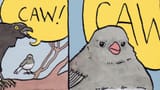 caw