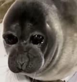 2206102978023378566705361