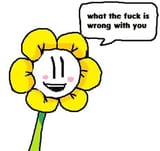 FGSYJ