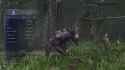 executor ult nightreign_thumb.jpg