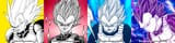 Vegeta avatars DB Official Site