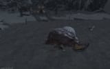 ffxiv_06132025_104630_905