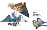 &gt;tits like mountains on a 6 year old