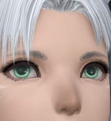 ffxiv_dx11_Ik9MbPpGKt