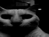 Horror