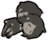 1747529127151181 sibfug