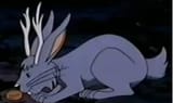 Weirdfuckinbunne