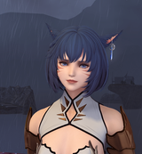ffxiv_dx11_zYuhoSdeYo