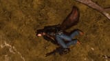 ffxiv_dx11 2025-06-14 16-08-28