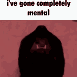 1741883678714621